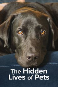 ซีรีย์ฝรั่ง The Hidden Lives of Pets (2022) ชีวิตลับสัตว์เลี้ยง EP.1-4 (จบแล้ว)