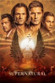 ซีรีย์ฝรั่ง Supernatural (2005) ล่าปริศนาเหนือโลก Season 1-15 (จบแล้ว)