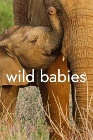 ซีรีย์ฝรั่ง Wild Babies (2022) เกิดในป่า EP.1-8 (จบแล้ว)