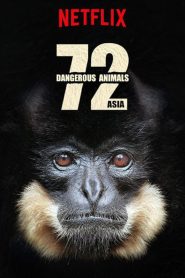 ซีรีย์ฝรั่ง 72 Dangerous Animals (2018) 72 สัตว์อันตราย EP.1-12 (จบแล้ว)