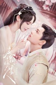 ซีรีย์จีน Romance of a Twin Flower (2023) คู่บุปผาเคียงฝัน EP.1-38 (กำลังฉาย)